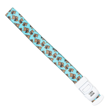 PACK LANYARD YORKSHIRE + TIJERA TURQUESA + COMPRESOR