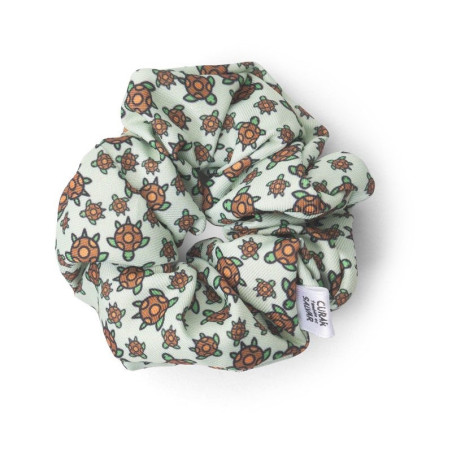 PACK TORTUGAS 5